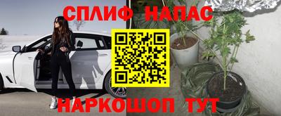 дмт Бузулук