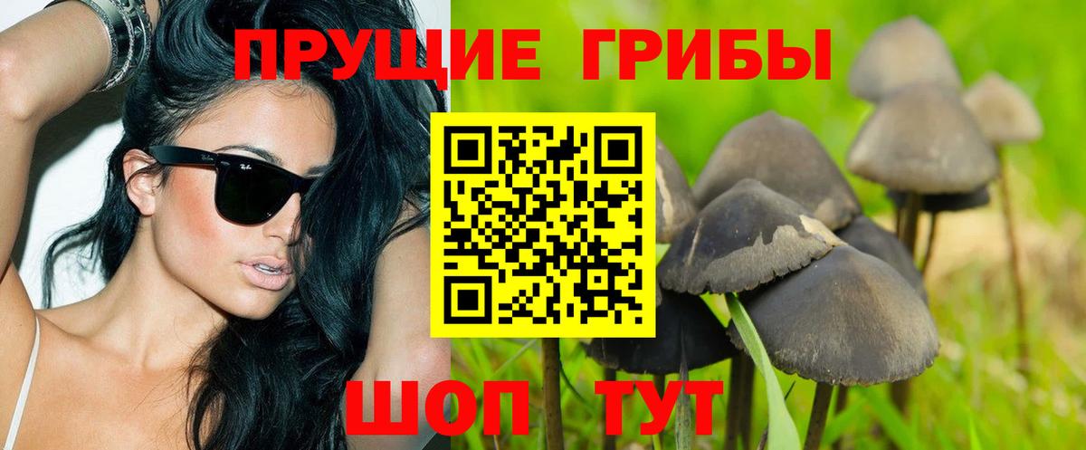 Краснодар  Галлюциногенные грибы MAGIC MUSHROOMS  Вход с VPN  Галлюциногенные грибы прущие грибы 